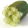 Finger Lime