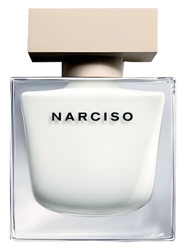 Narciso