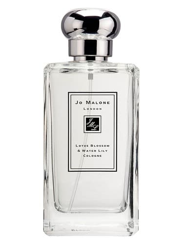 Lotus Blossom & Water Lily