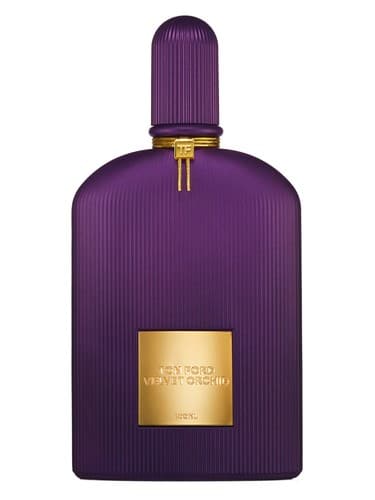 Velvet Orchid Lumière